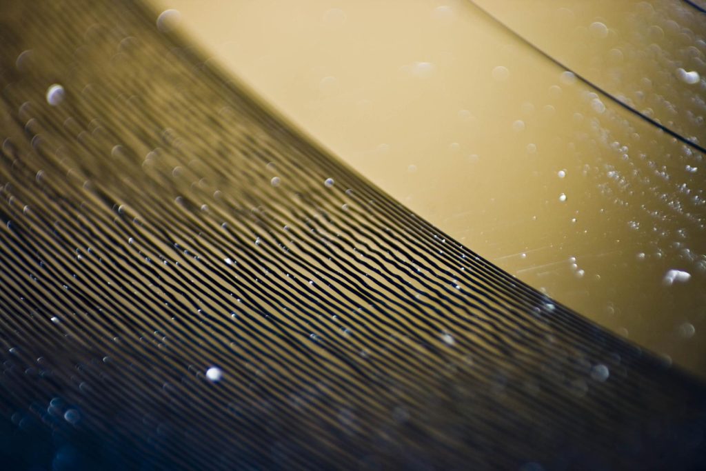 File:Vinyl groove macro.jpg - a close up of a yellow umbrella with water droplets