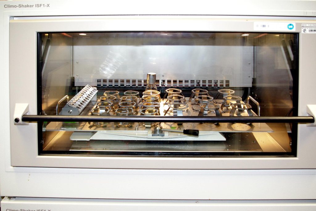 Laboratory microbiological shaker with cultures-01 - a white stove with a glass door